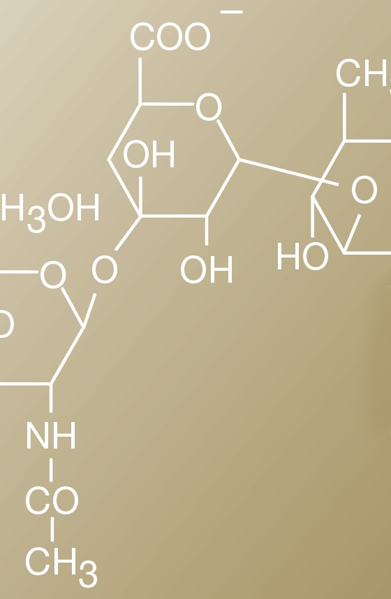 Комплекс Expert Hyaluron