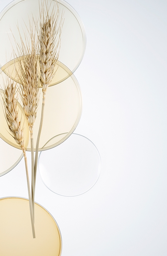 Підтягувальний, зволожувальний та зміцнювальний рослинний комплекс