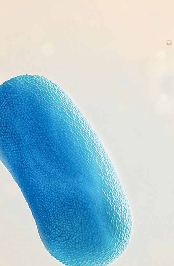 Комплекс постбіотиків